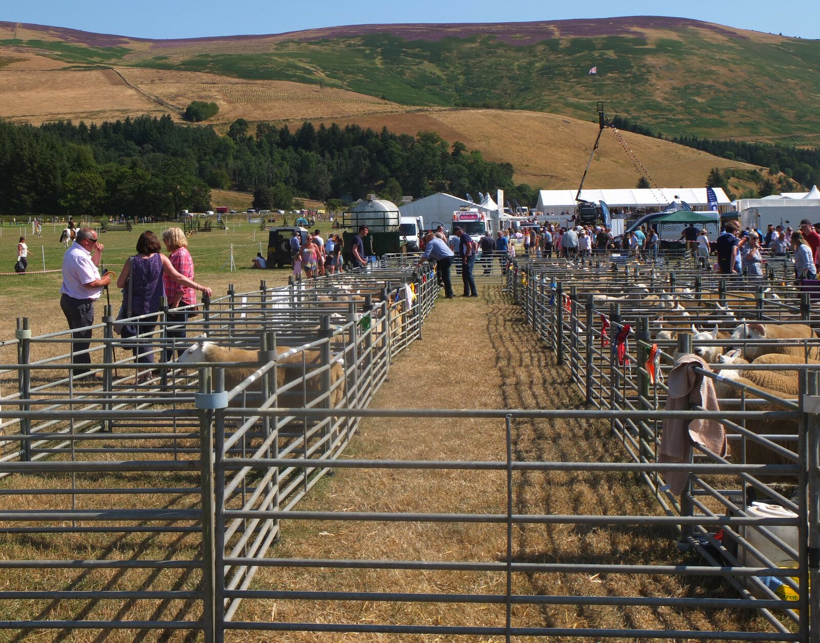 Danby Show