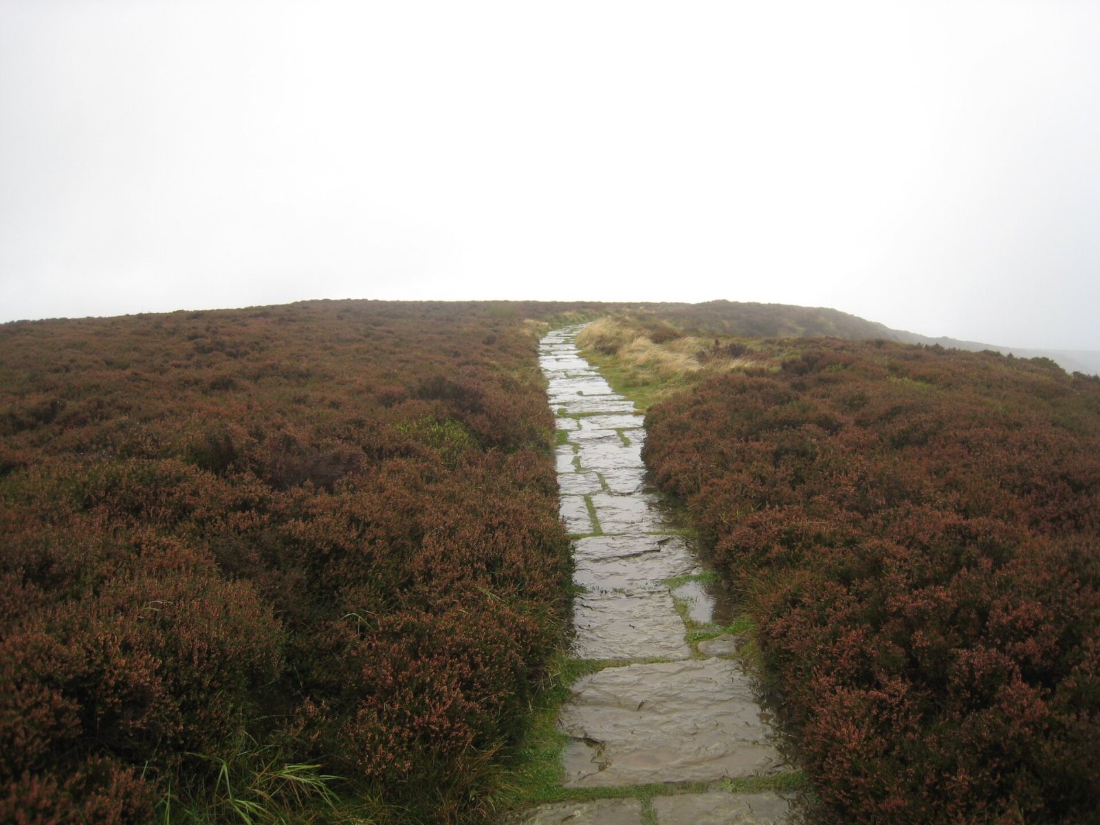 Walking the Cleveland Way in stages
