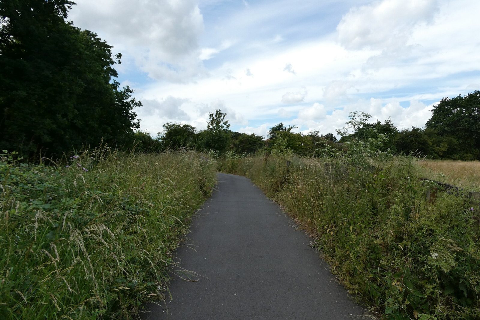 Cycling on the moors