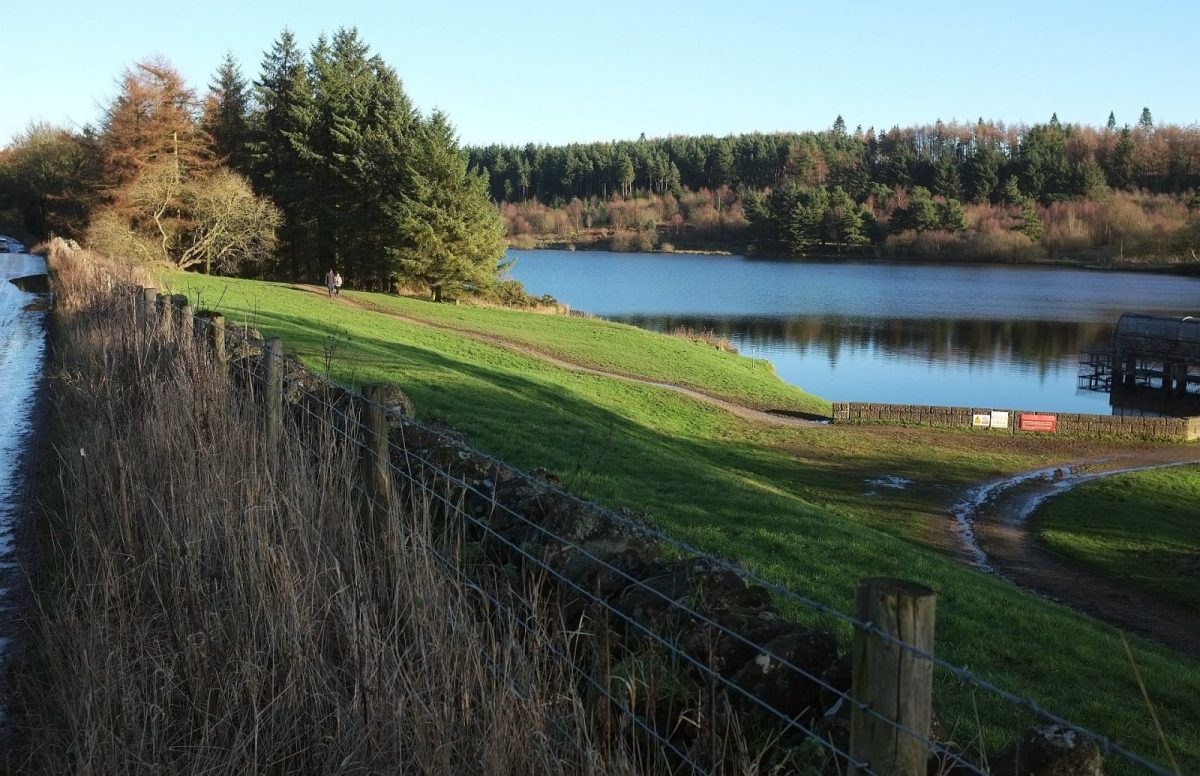 Accessible days out