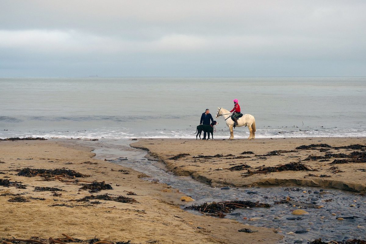 Beaches for every kind of day