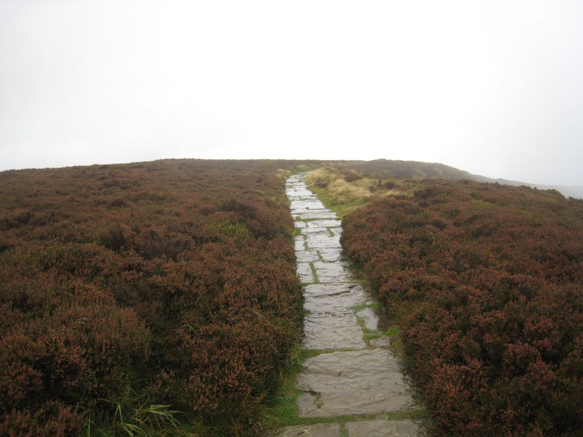 Walking the Cleveland Way in stages