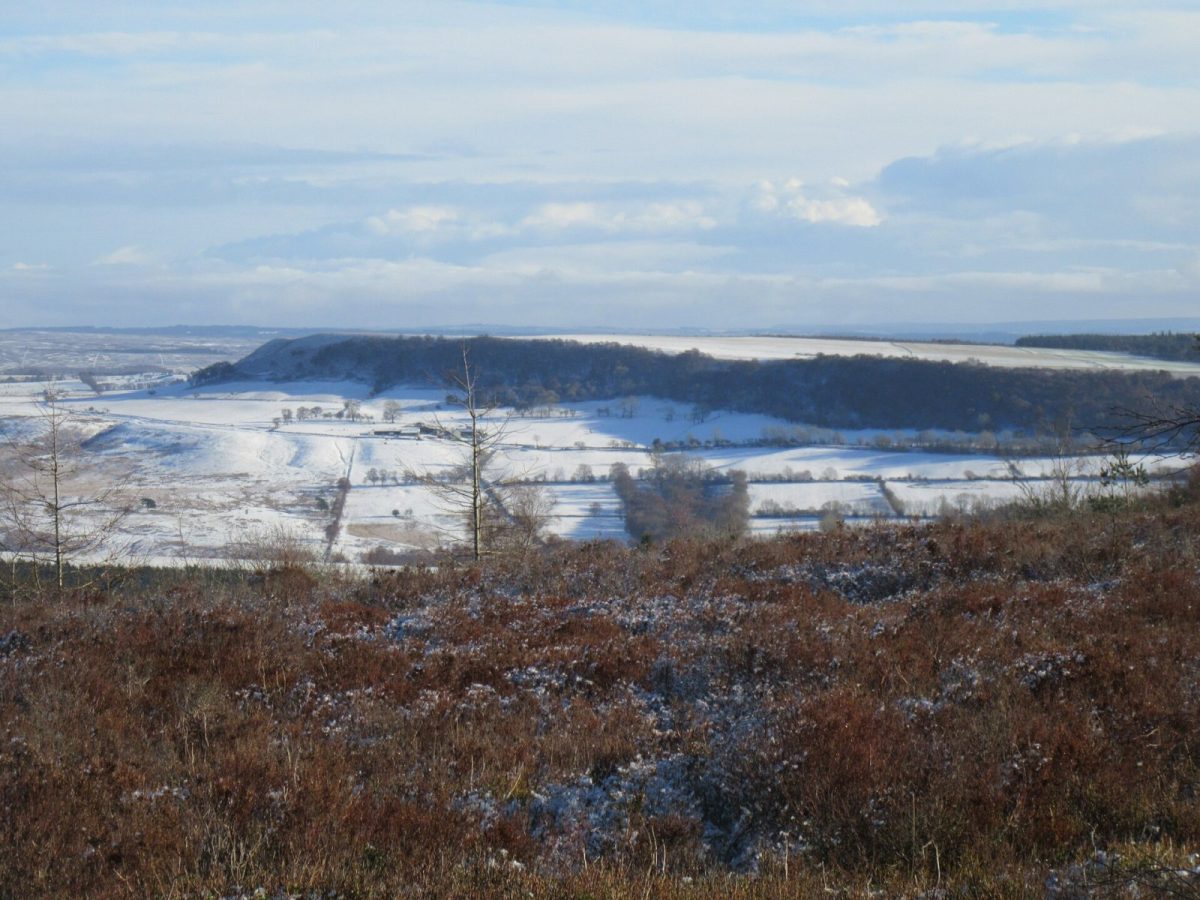 Winter on the moors