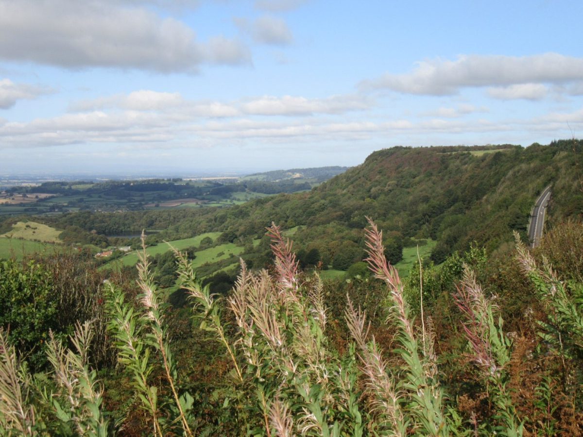 Sutton Bank and the National Park Centre