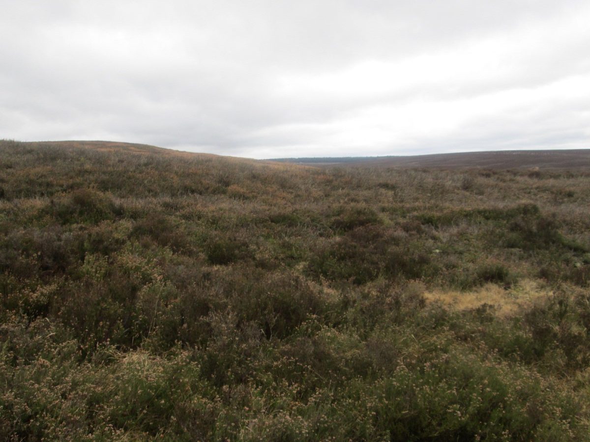 Wheeldale Roman Road
