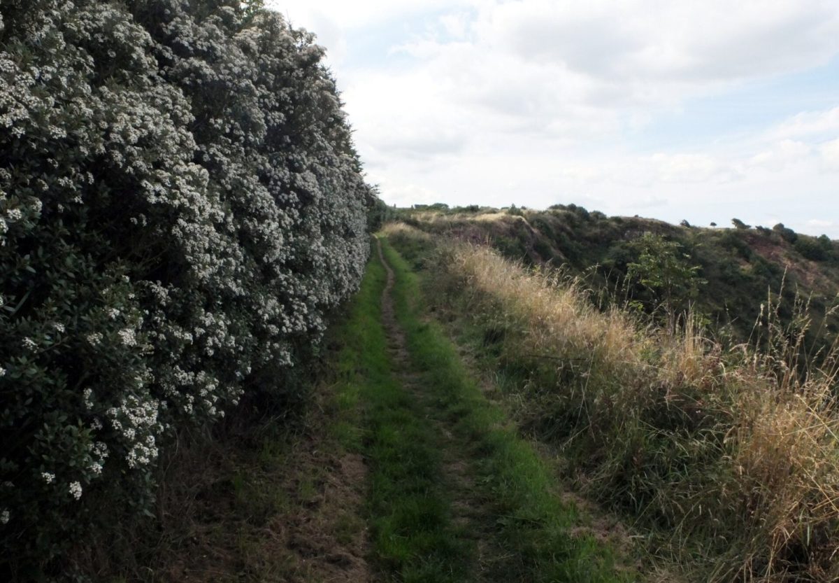 Ravenscar to Hayburn Wyke