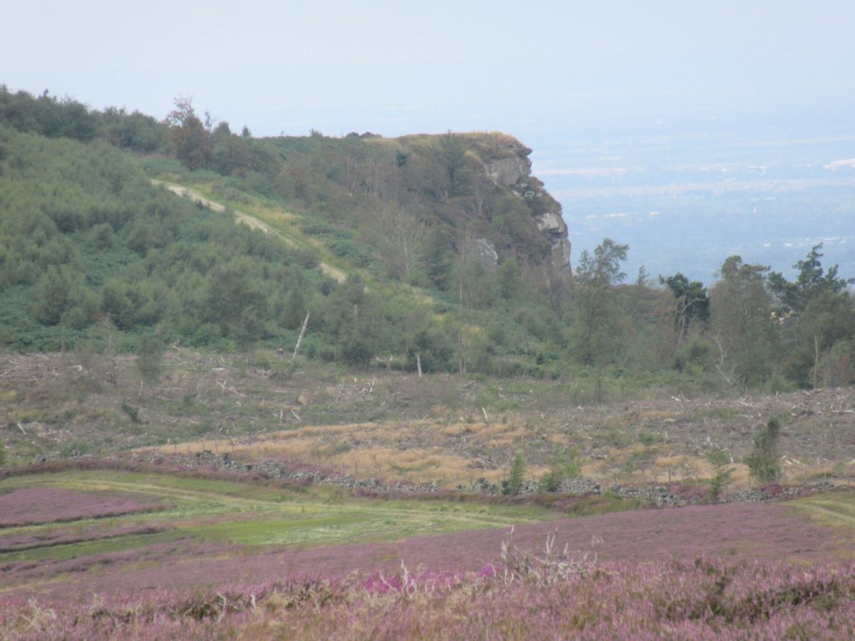 Highcliff Nab and Guisborough Forest