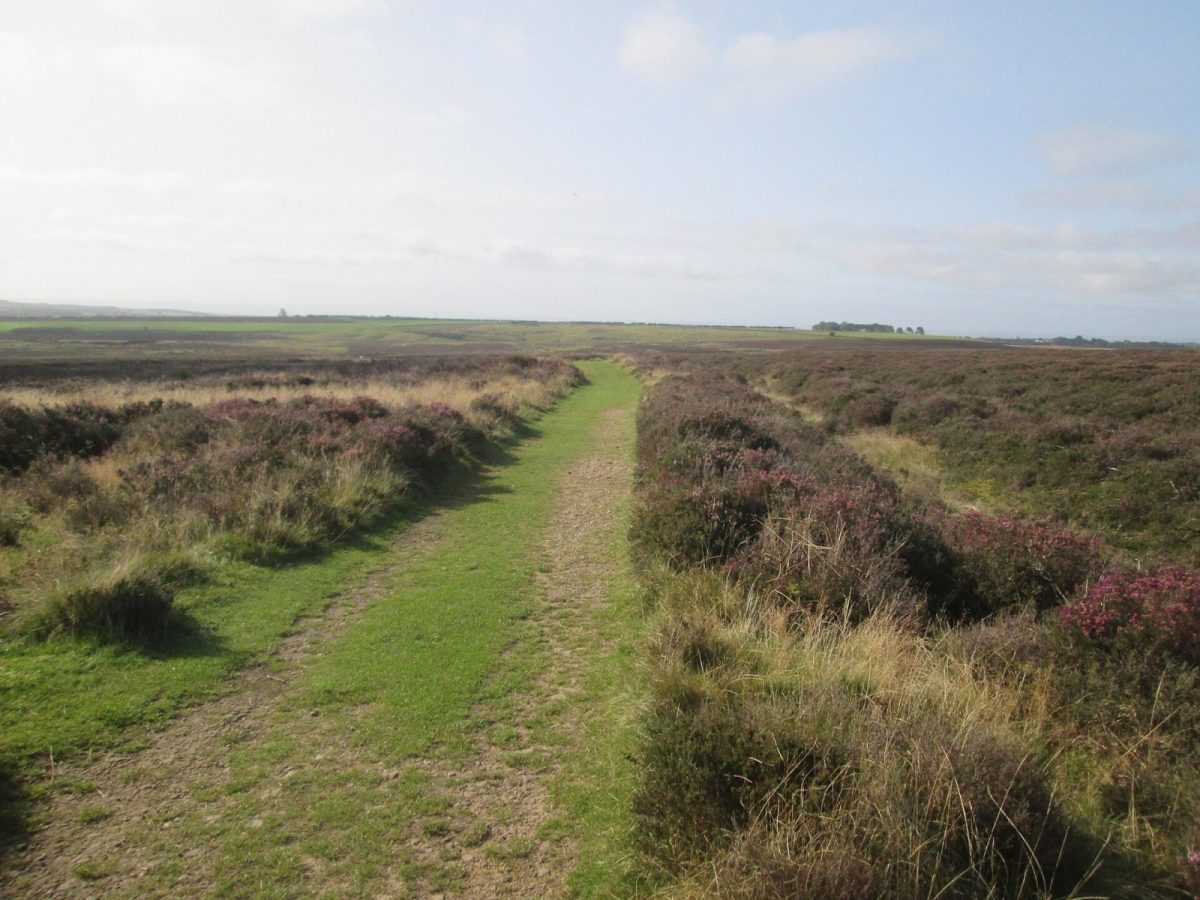 Hole of Horcum and Levisham Moor