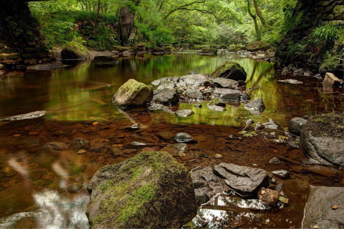 Mallyan Spout and Beck Hole