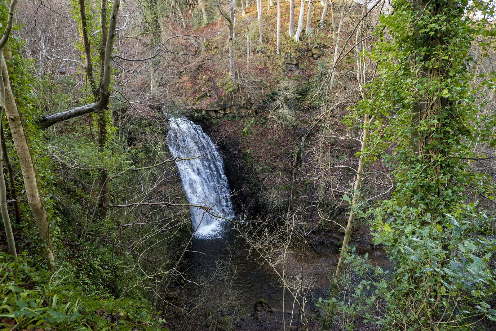 Falling Foss and the Hermitage