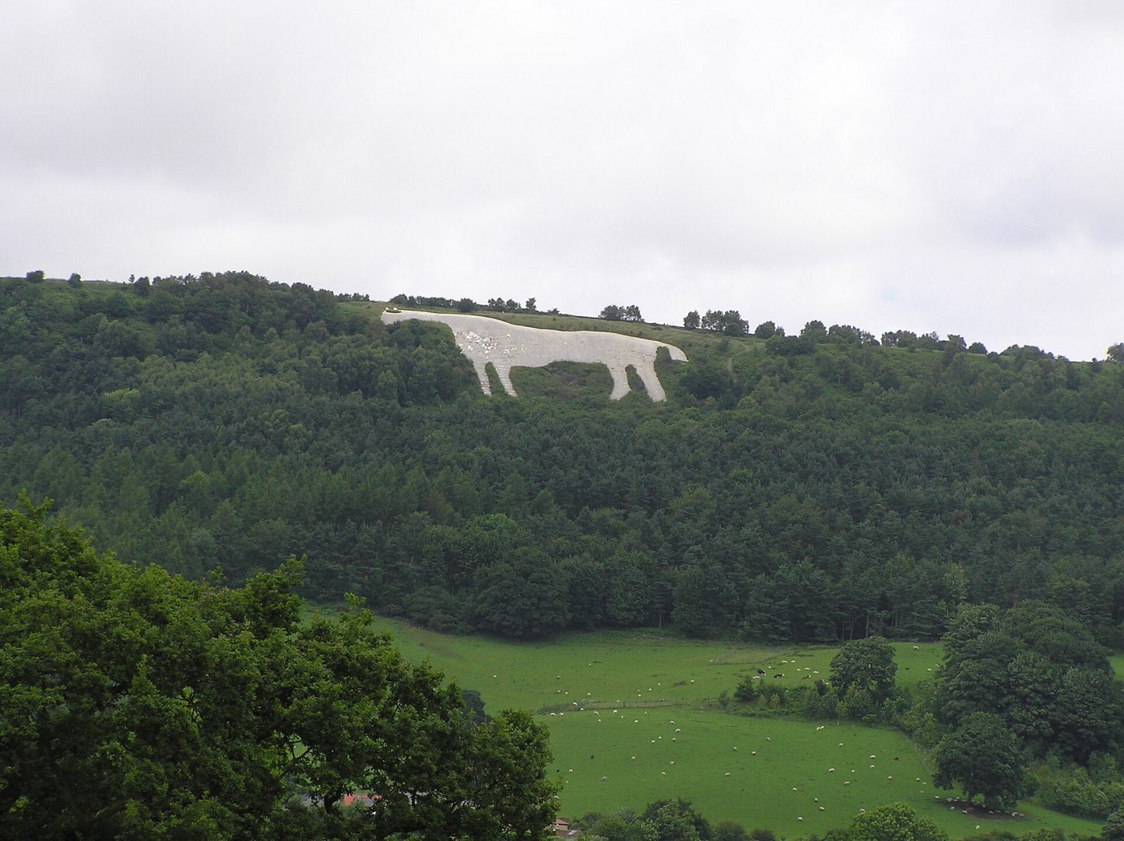 Kilburn White Horse
