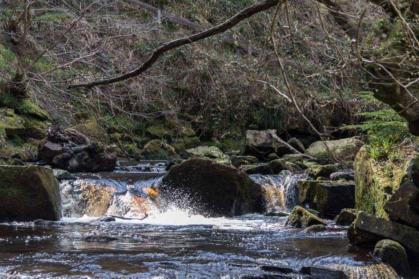 Mallyan Spout