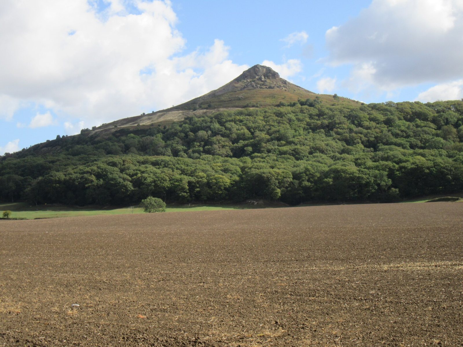 Roseberry Topping
