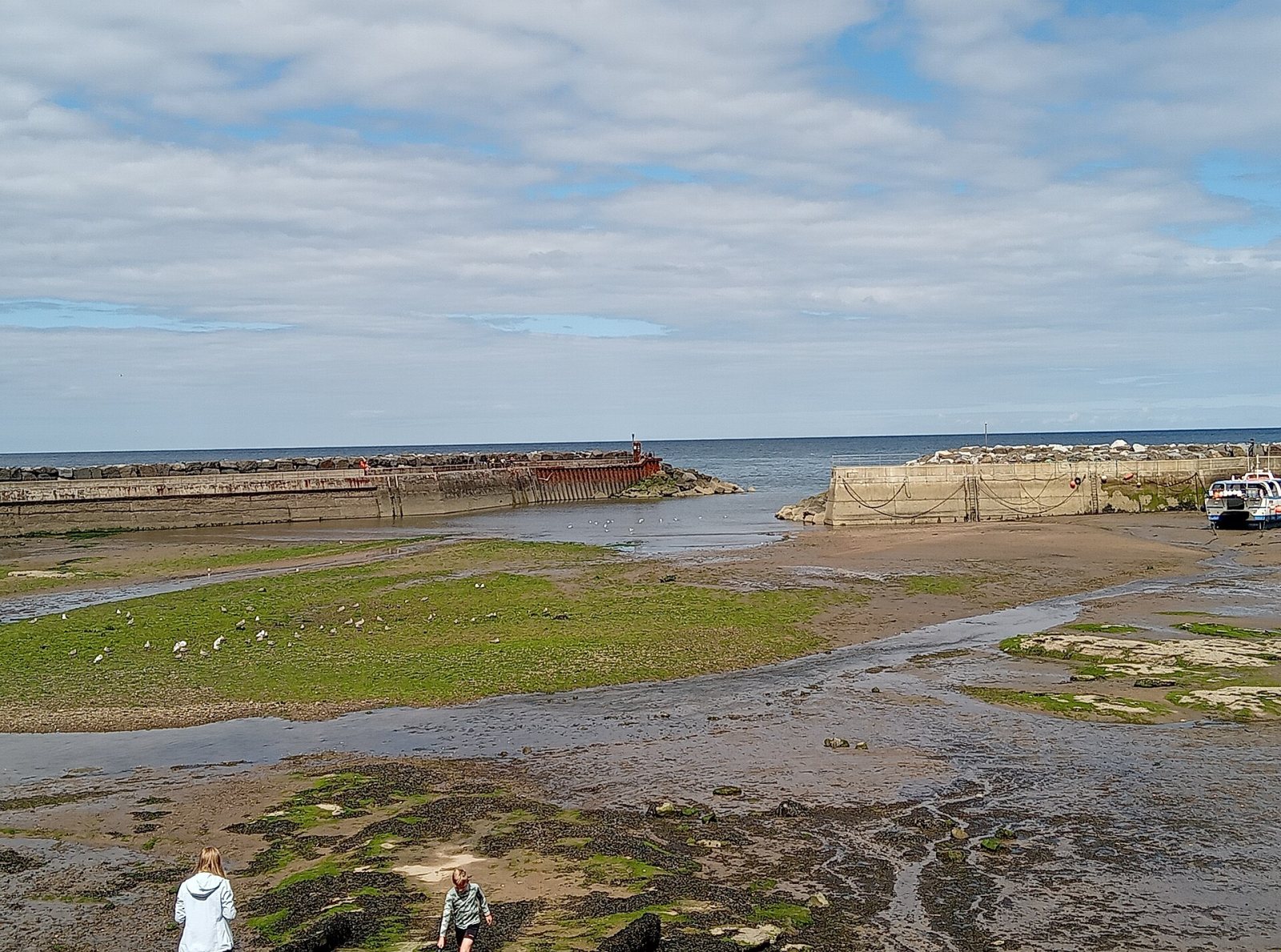 Staithes harbour and beach