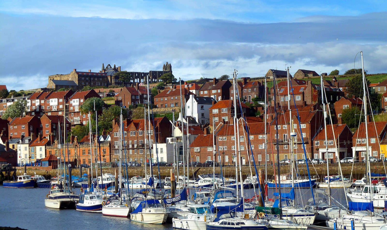 Boat trips from Whitby