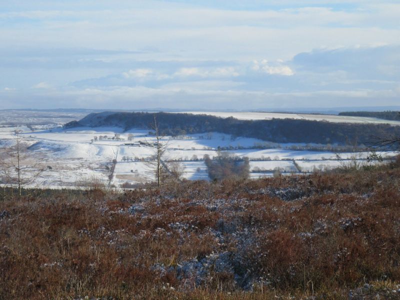 Winter on the moors
