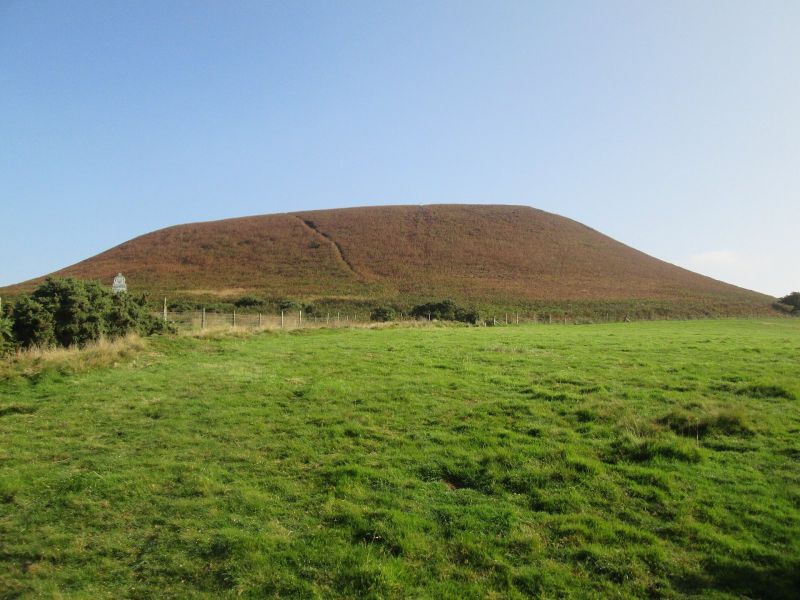 Blakey Topping
