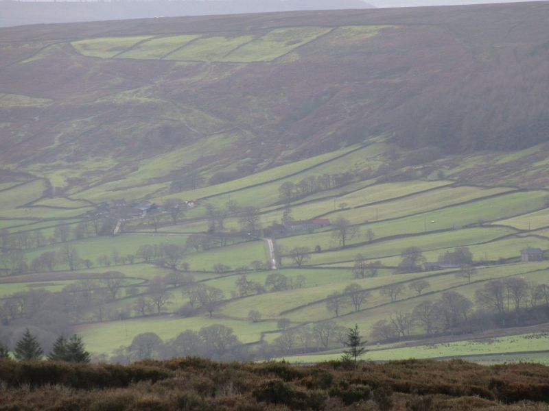 Bransdale