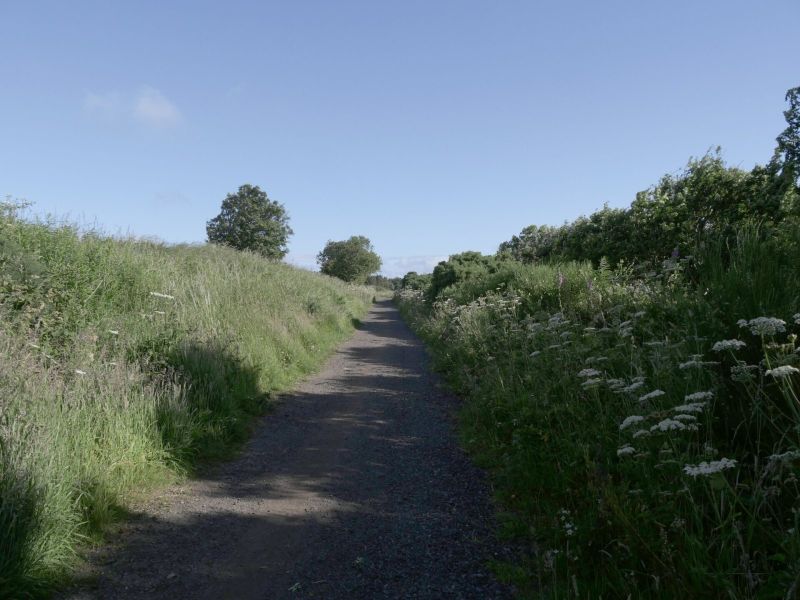 The Cinder Track
