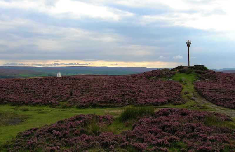 Danby Beacon