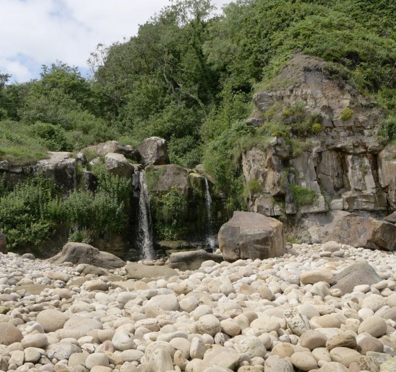 Hayburn Wyke