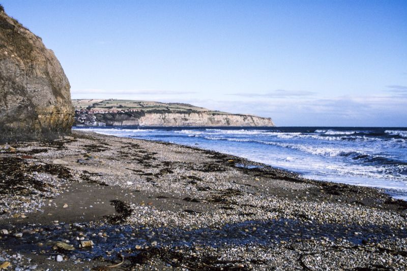 Robin Hood's Bay beach and fossils
