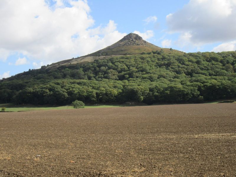 Roseberry Topping
