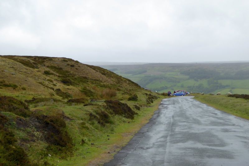 Rosedale Chimney Bank