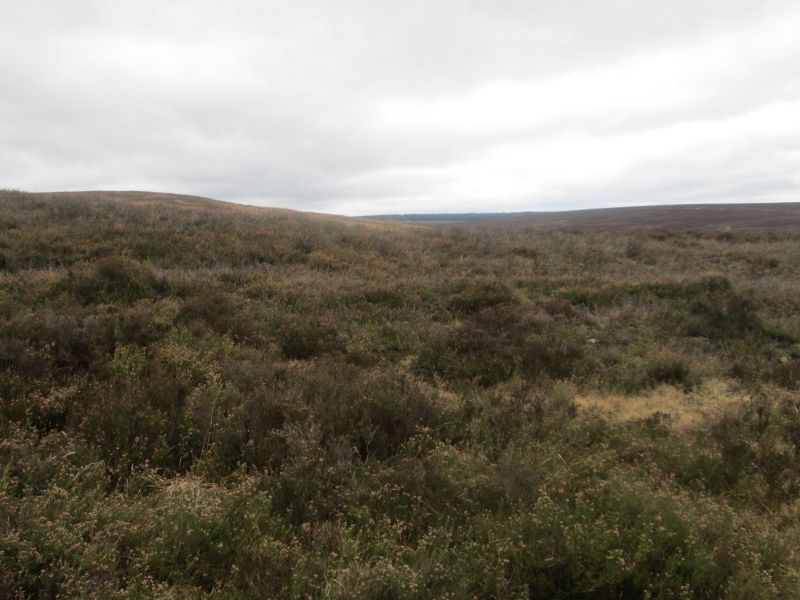 Wheeldale Roman Road