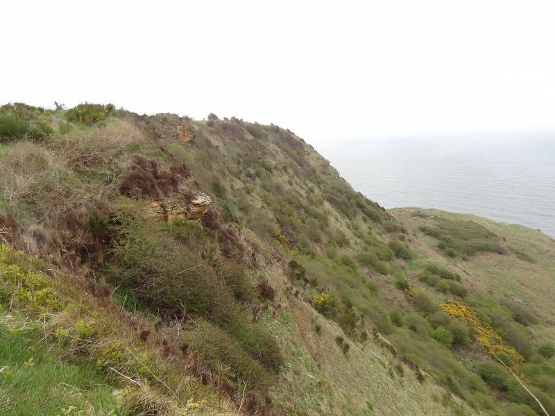 Ravenscar