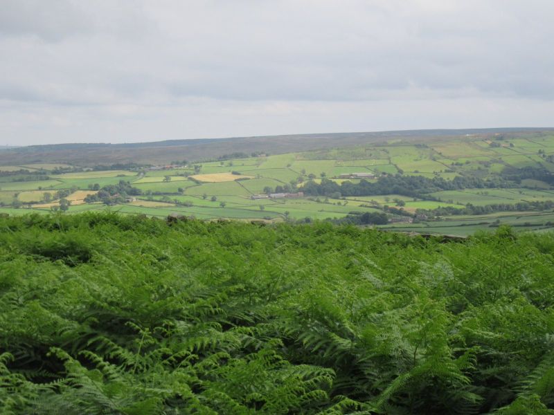 Danby Beacon and the Moors Centre