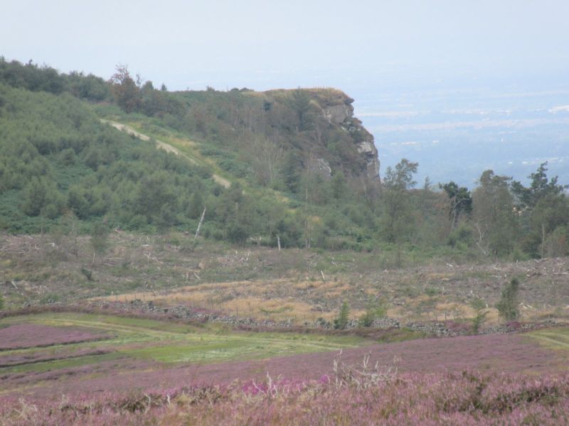 Highcliff Nab and Guisborough Forest