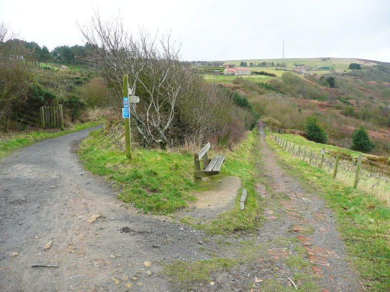 Whitby to Robin Hood's Bay on the Cleveland Way