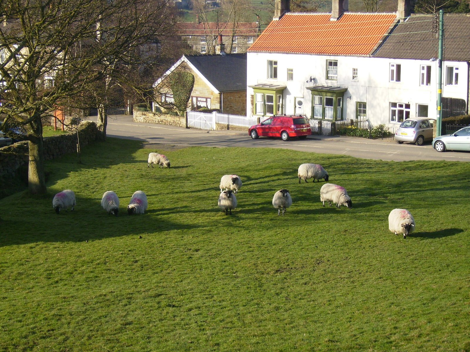 Danby