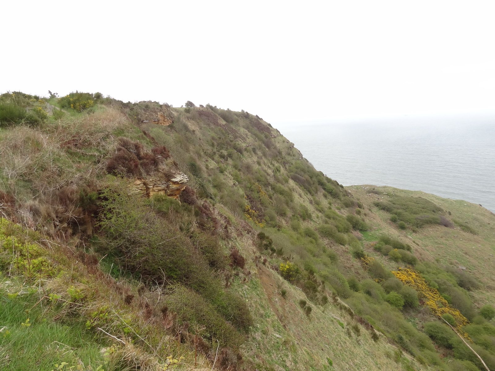 Ravenscar