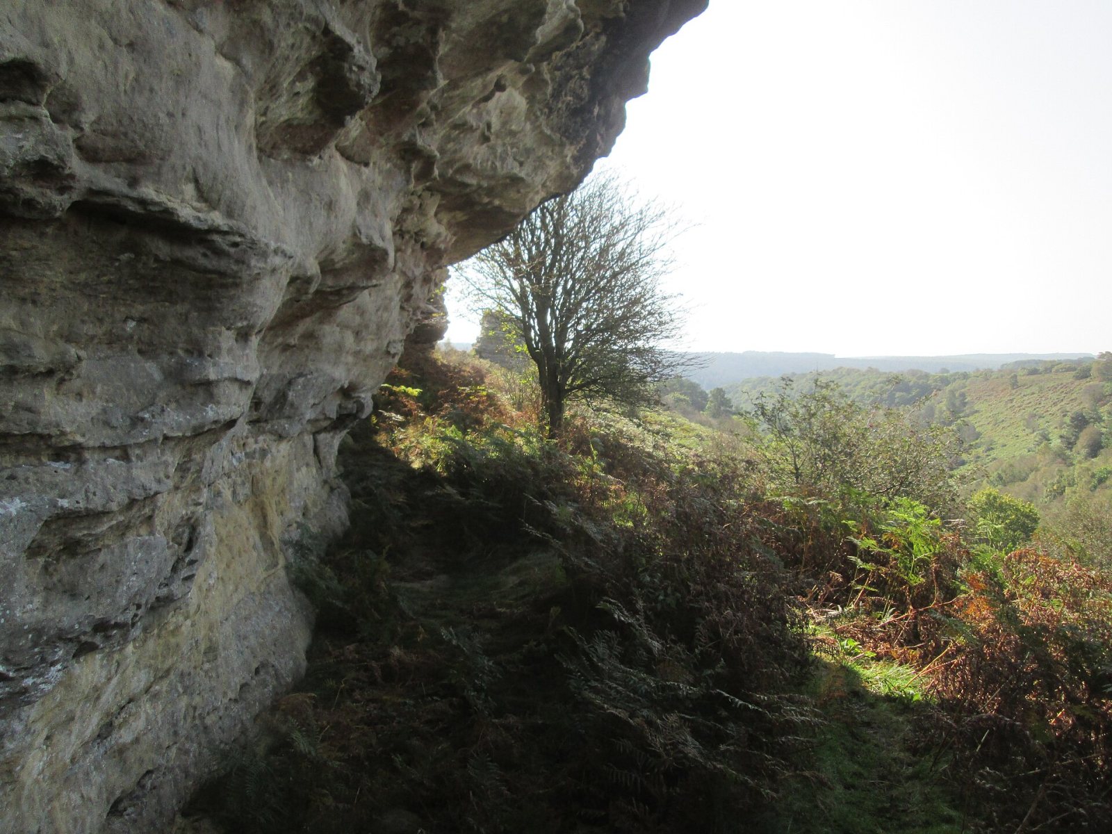Bridestones and Dovedale Griff