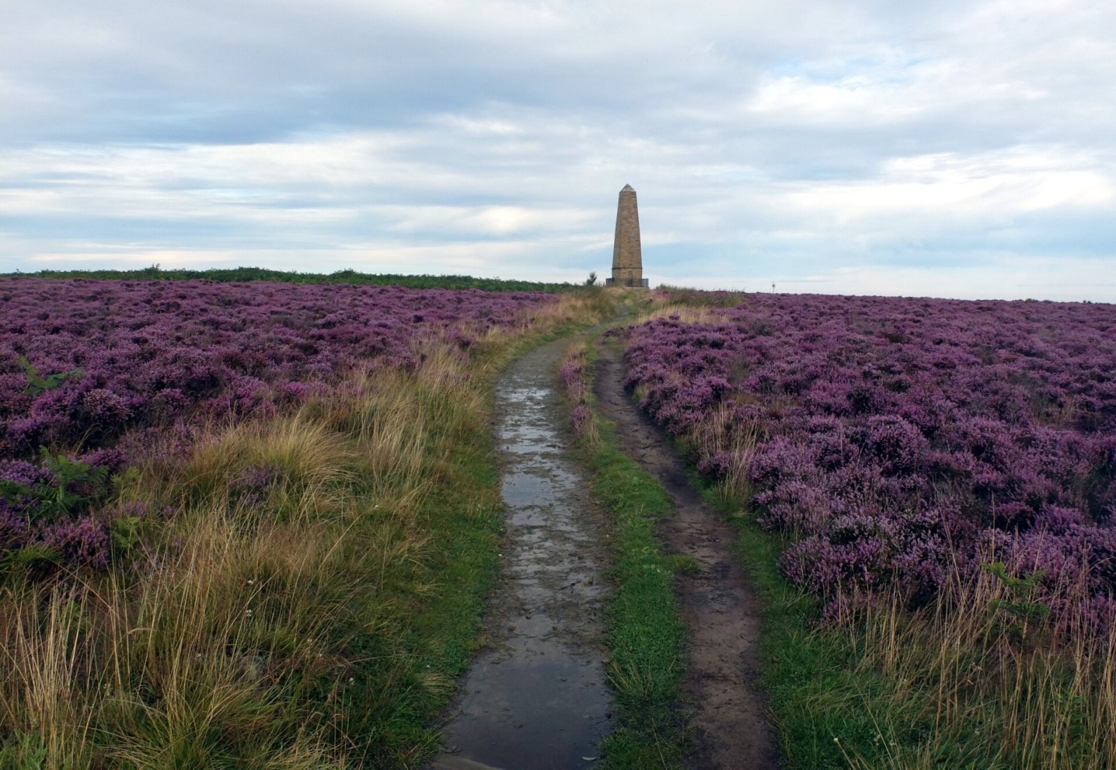 Great Ayton to Captain Cook's Monument