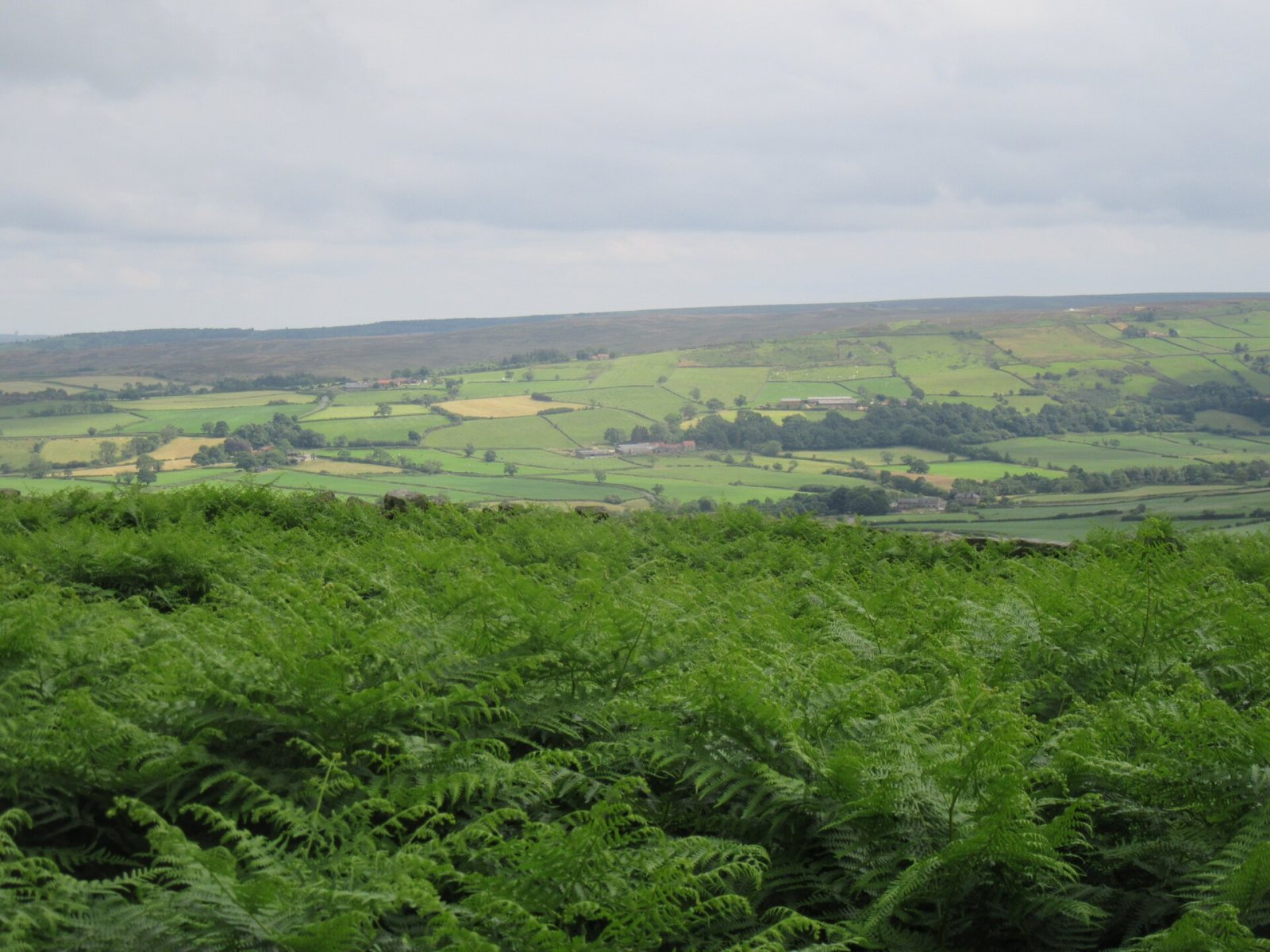Danby Beacon and the Moors Centre