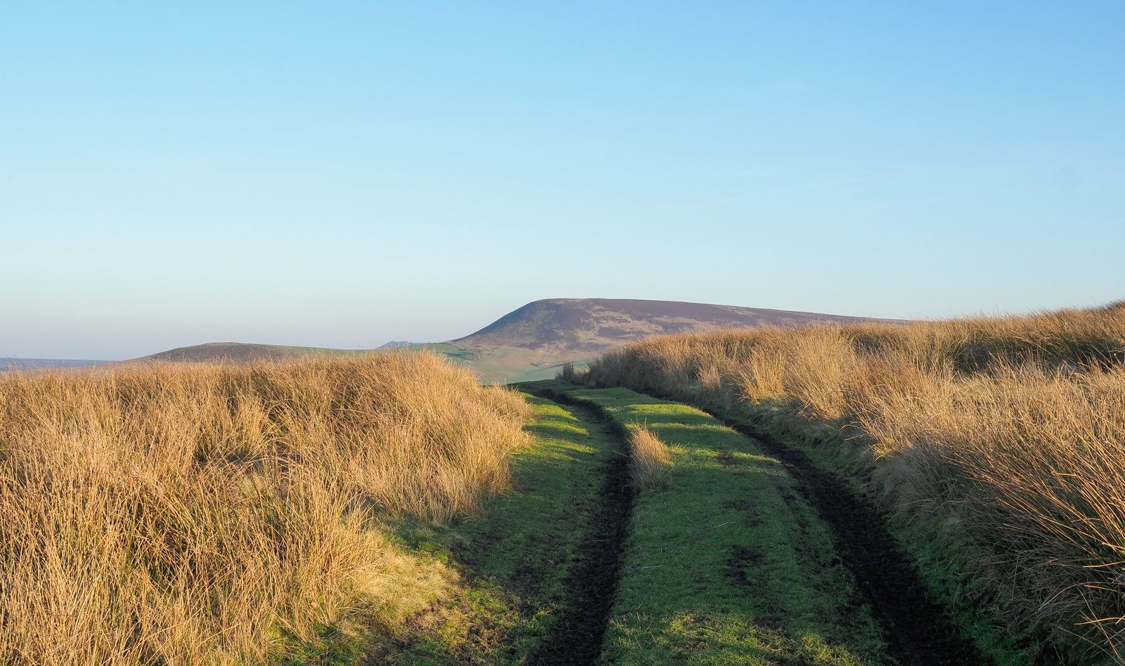 Hawnby Hill and Easterside