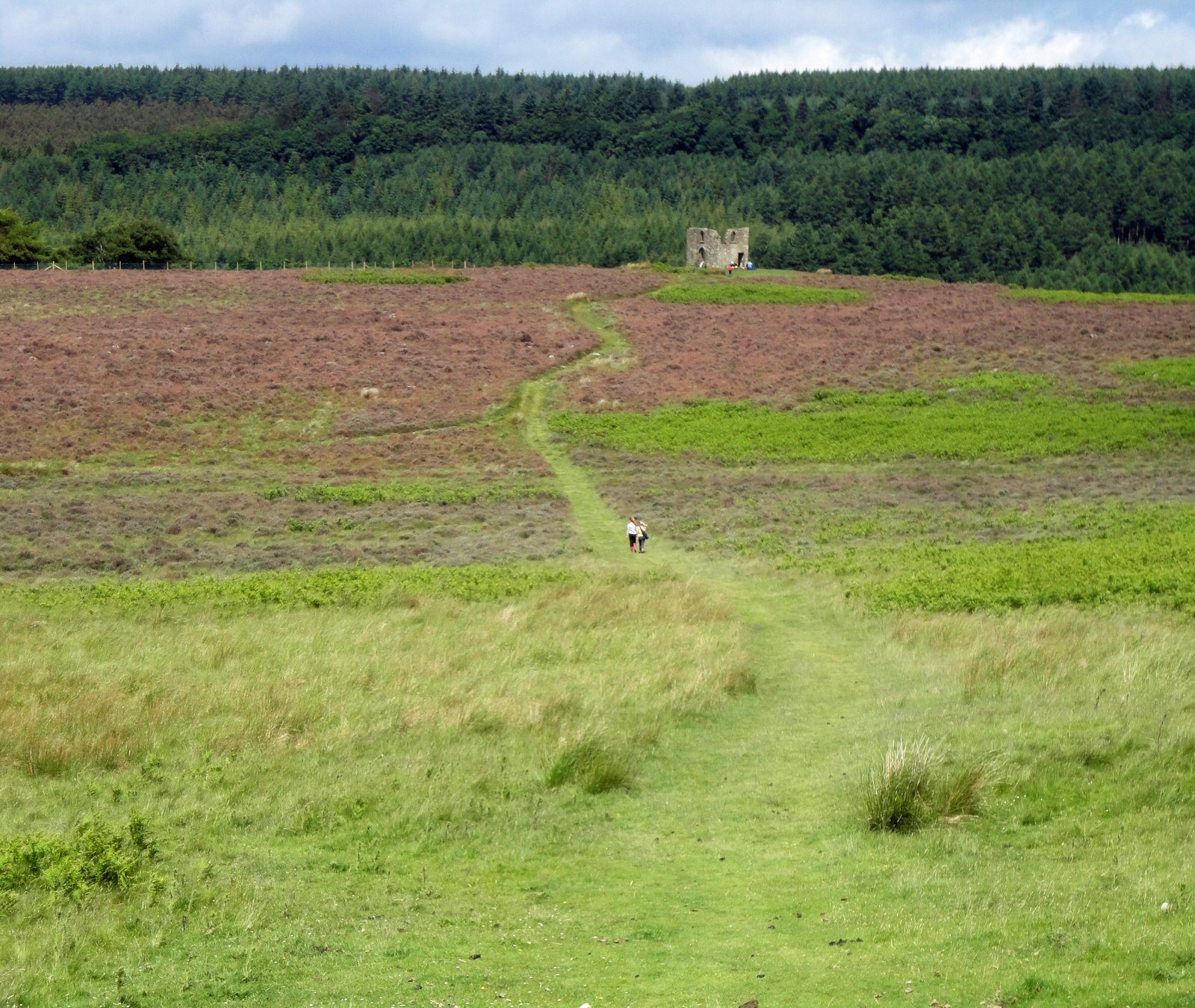 Levisham Station to Skelton Tower